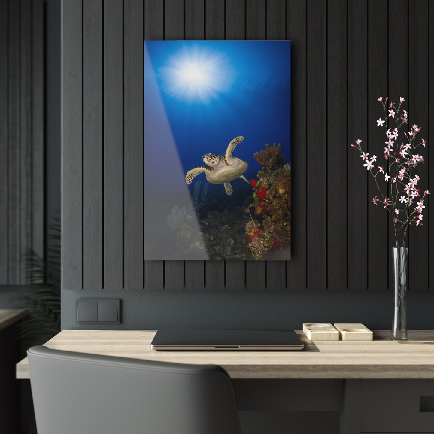 Acrylic Wall Art - Hawksbill Turtle Swims Along The Coral Reef With Ample Sunshine Above - Grand Cayman