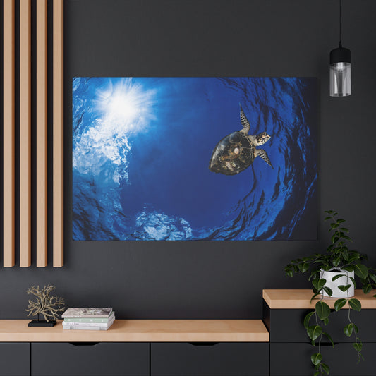 Canvas Print
