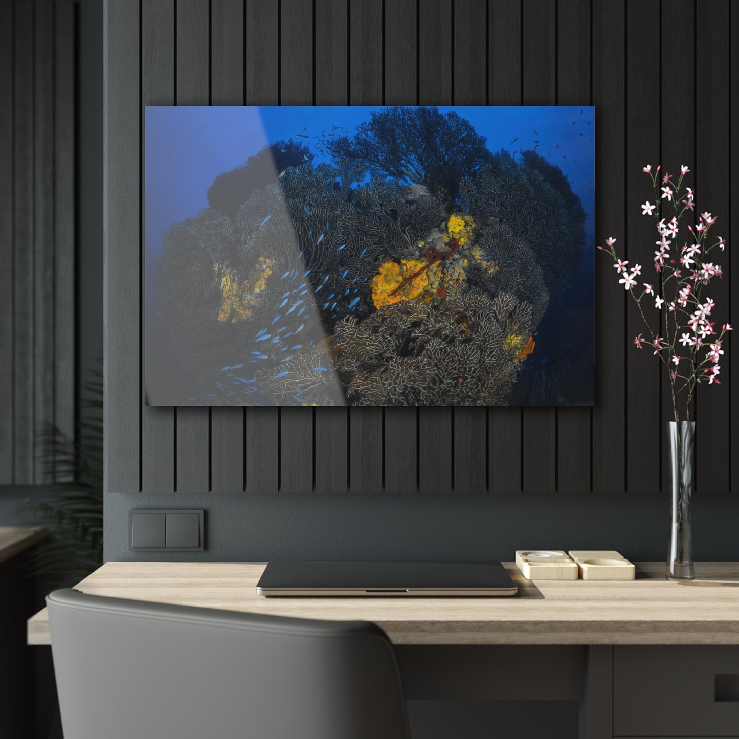 Acrylic Wall Art - Schooling Fish Flow Across a Massive Coral Head