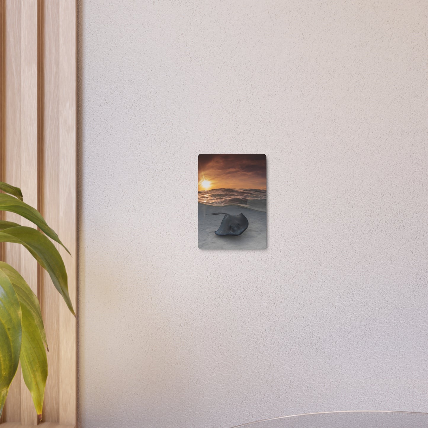 "Stingray Swims" Metal Print