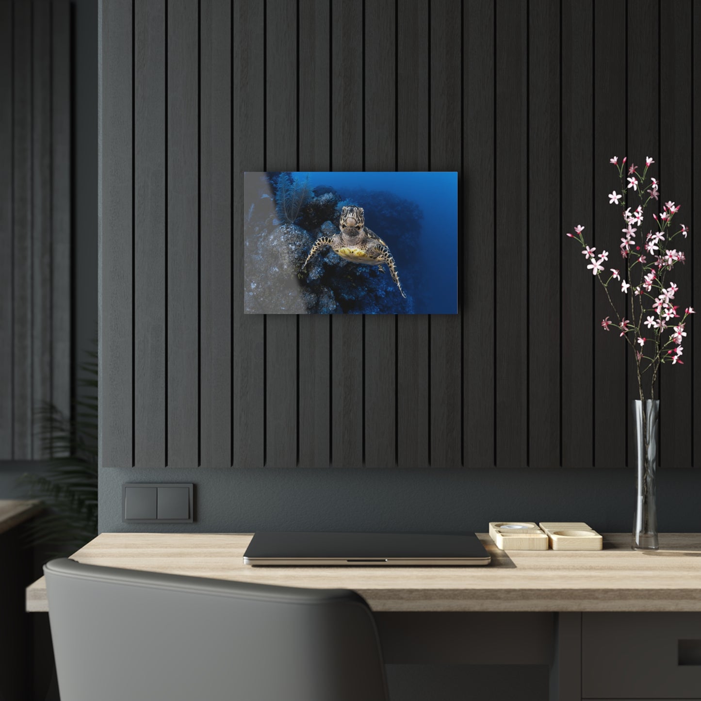 Acrylic Wall Art - Hawksbill Turtle Swims Along The Drop-off - Grand Cayman