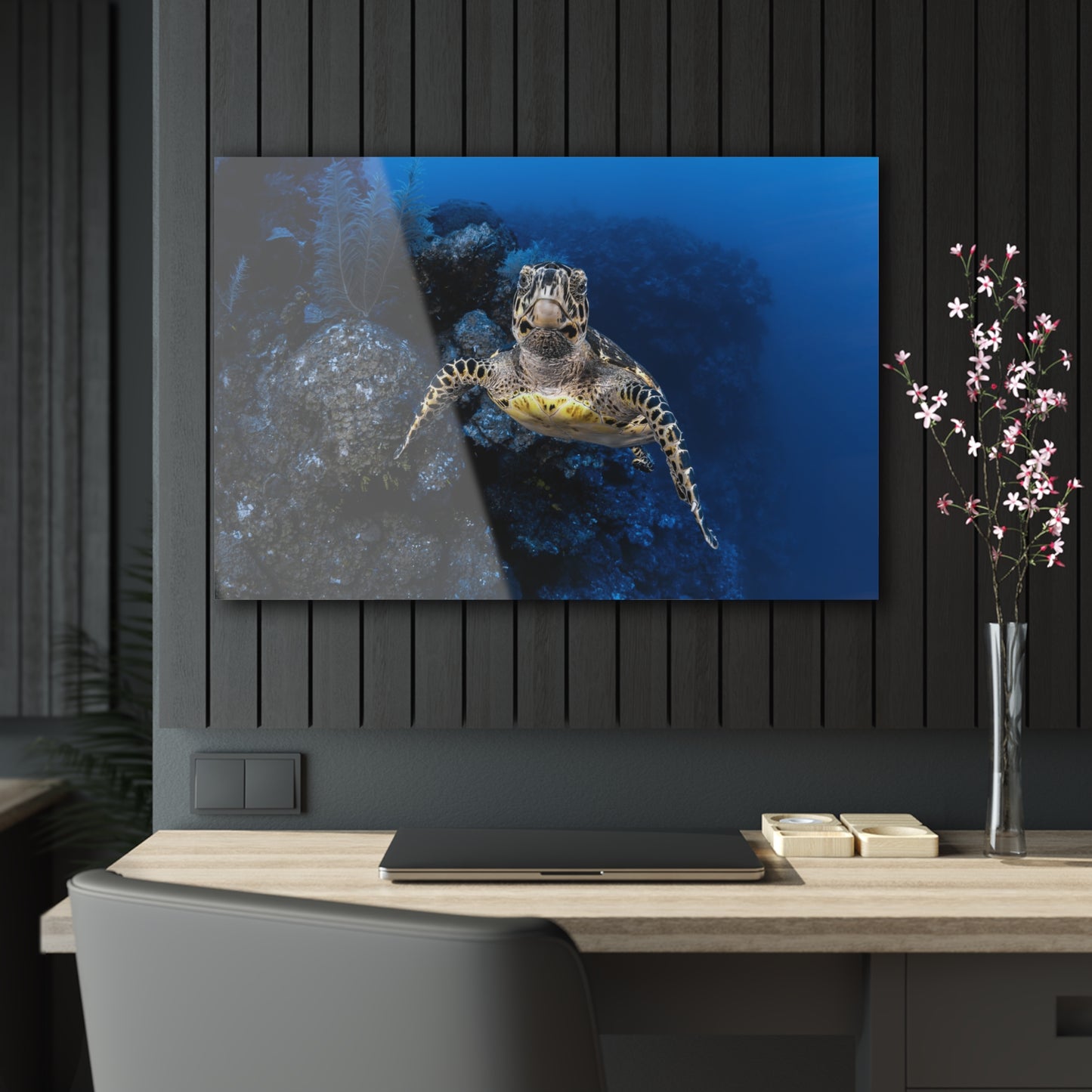 Acrylic Wall Art - Hawksbill Turtle Swims Along The Drop-off - Grand Cayman