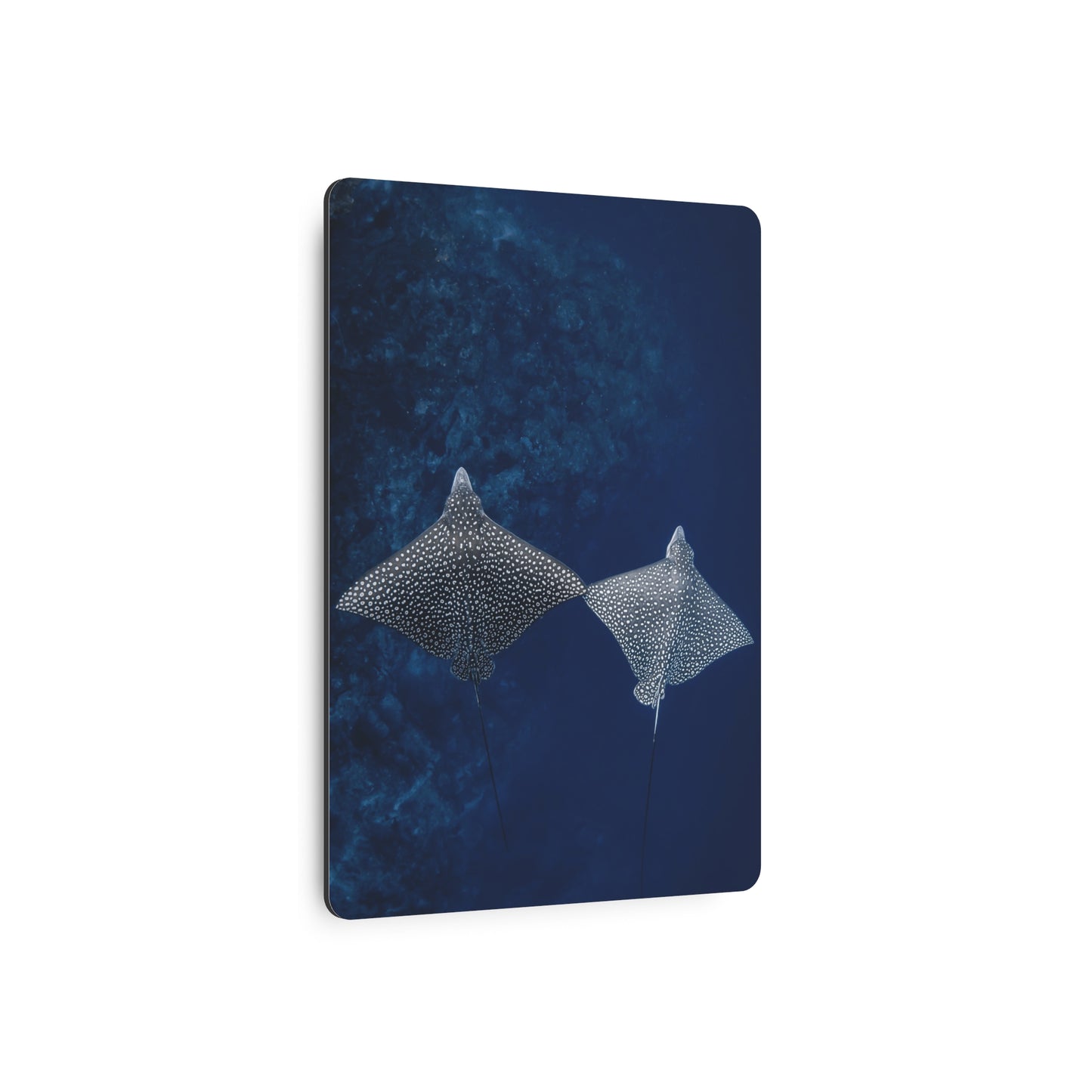 "High-Five" Metal Print