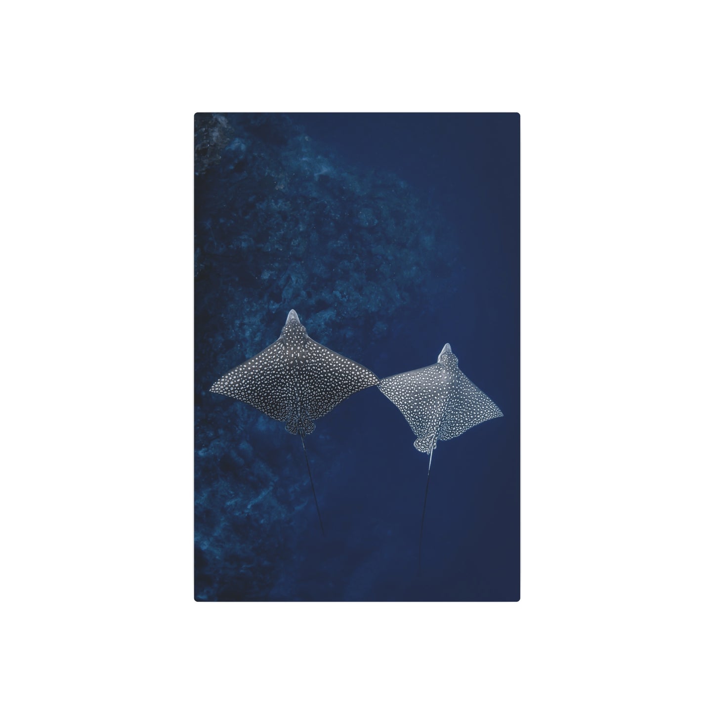 "High-Five" Metal Print