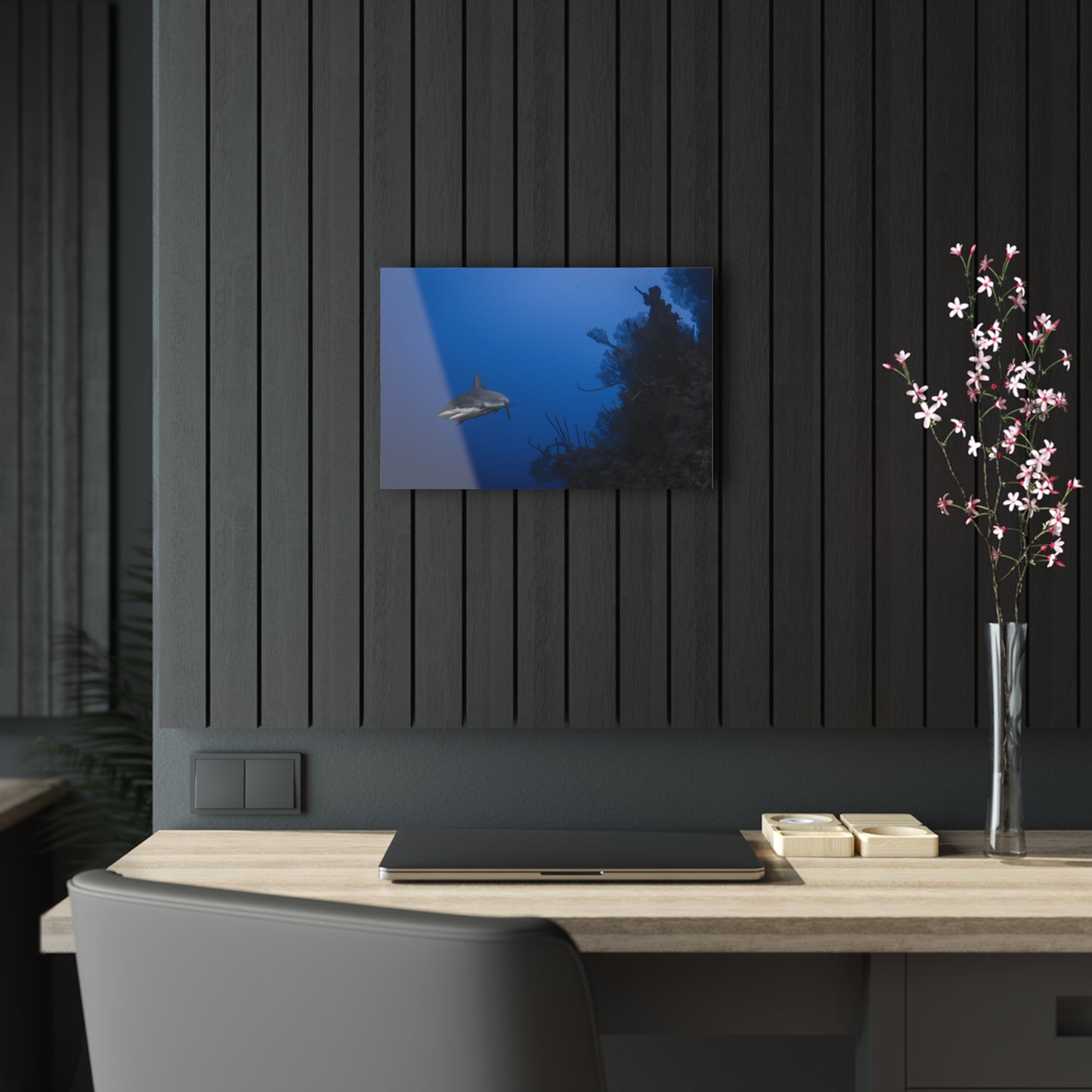 Acrylic Wall Art - Reef Shark Cruises the North Wall - Grand Cayman