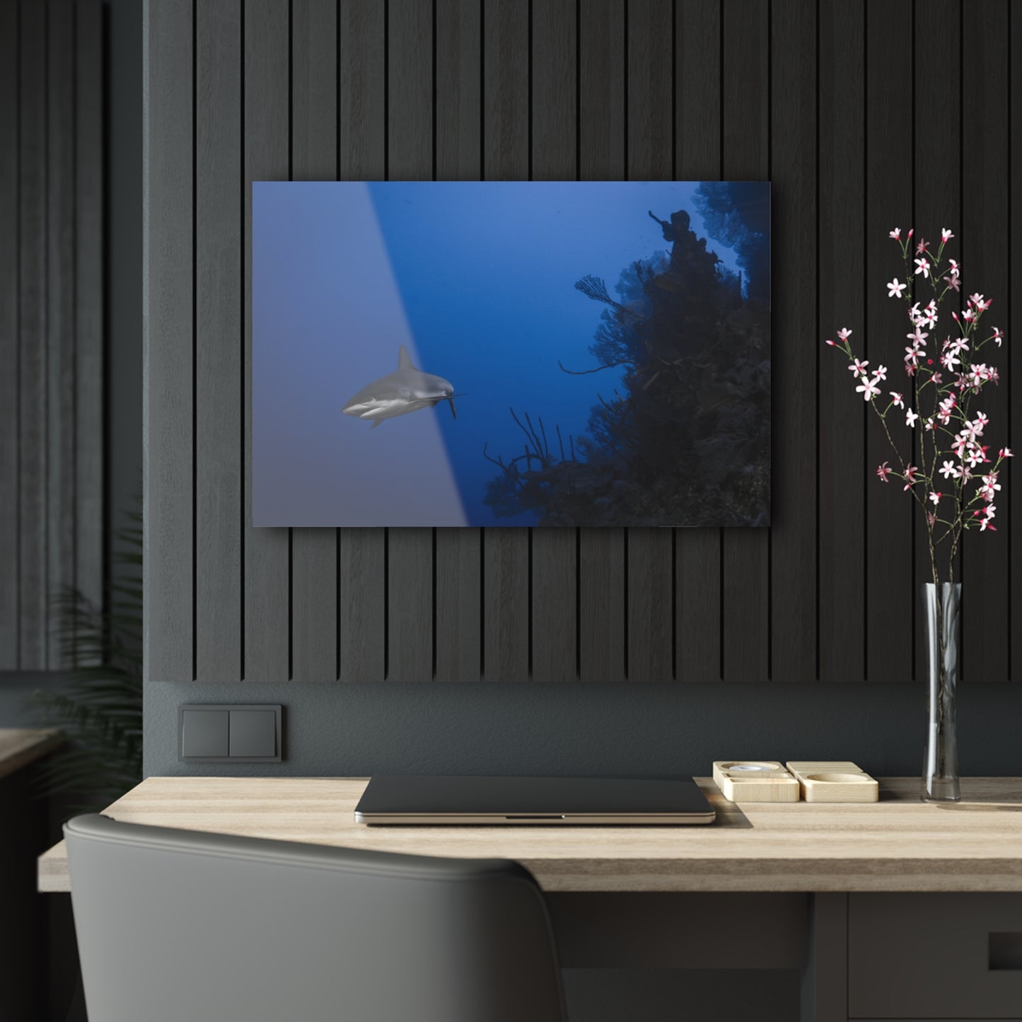 Acrylic Wall Art - Reef Shark Cruises the North Wall - Grand Cayman