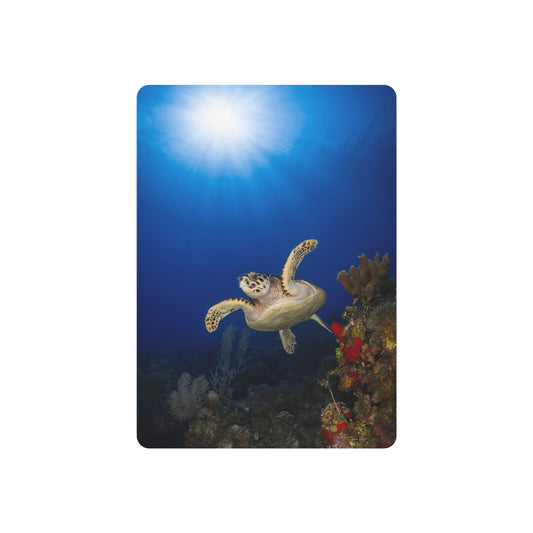 "Sunshine Above" Metal Print