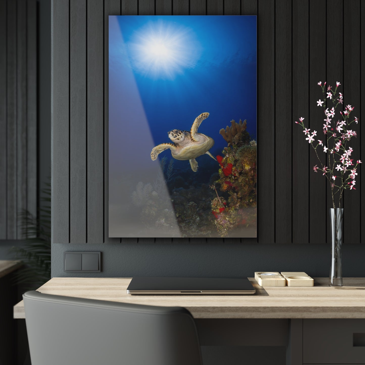 Acrylic Wall Art - Hawksbill Turtle Swims Along The Coral Reef With Ample Sunshine Above - Grand Cayman