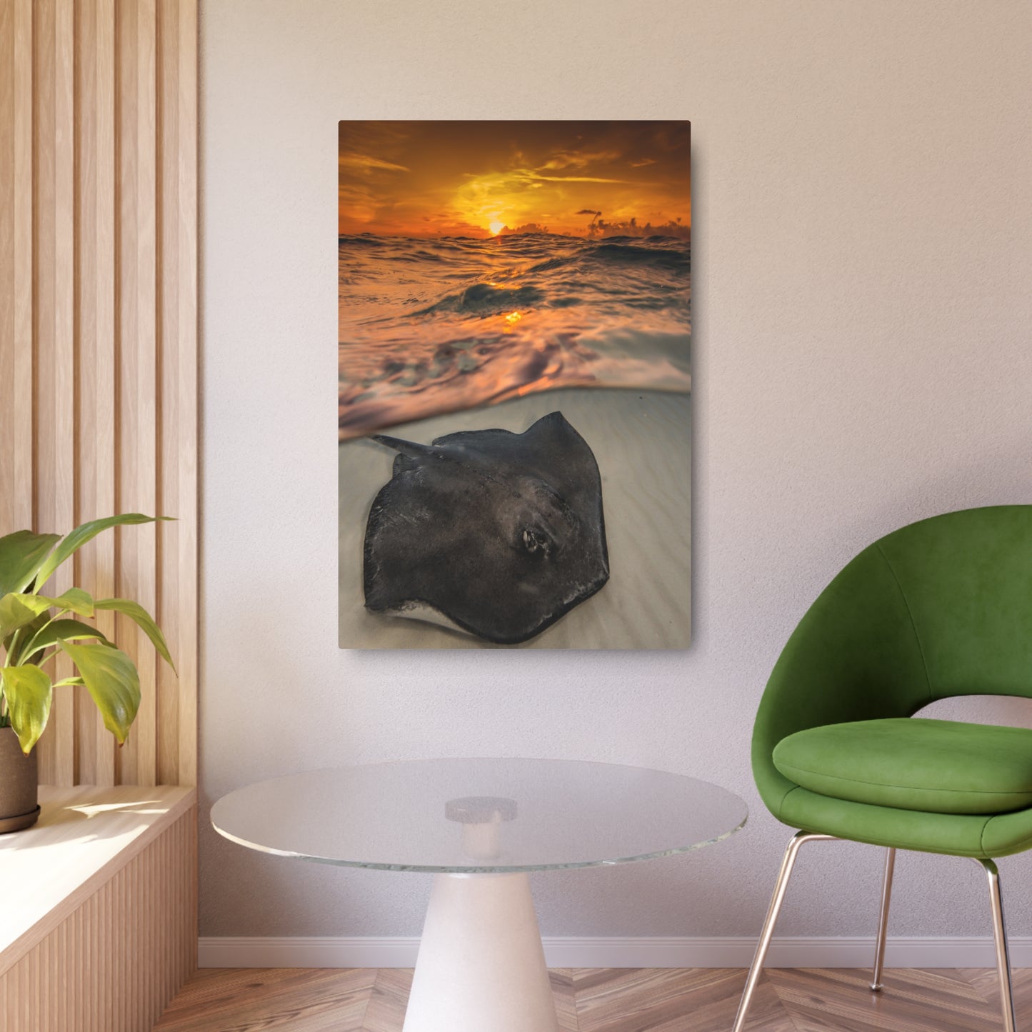 Metal Wall Art - Southern Atlantic Stingray At Sunrise - Grand Cayman
