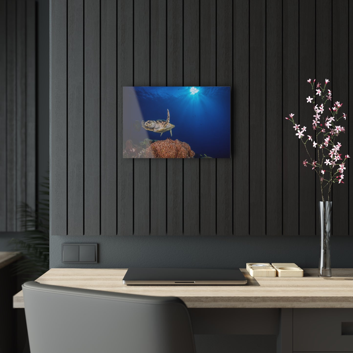 Acrylic Wall Art - Hawksbill Turtle Poses Above The Reef