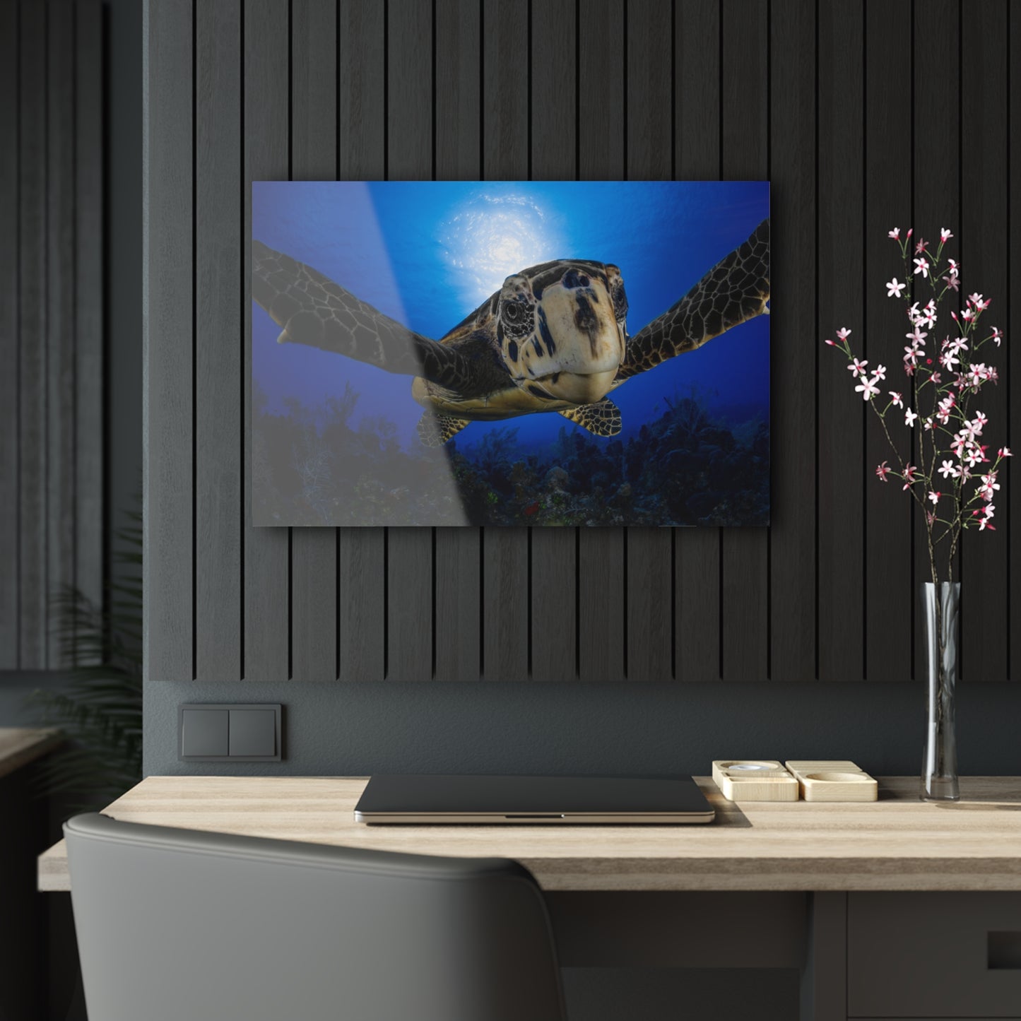 Acrylic Wall Art - Hawksbill Turtle Close Up Grand Cayman
