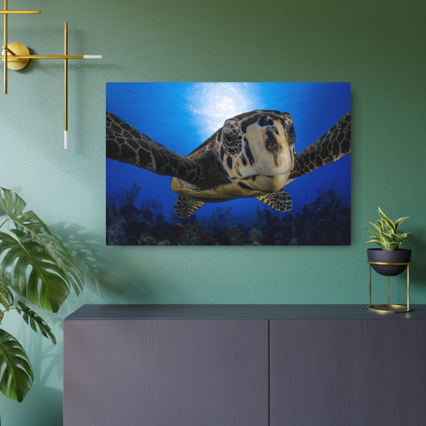 "Turtle Hug" Metal Print