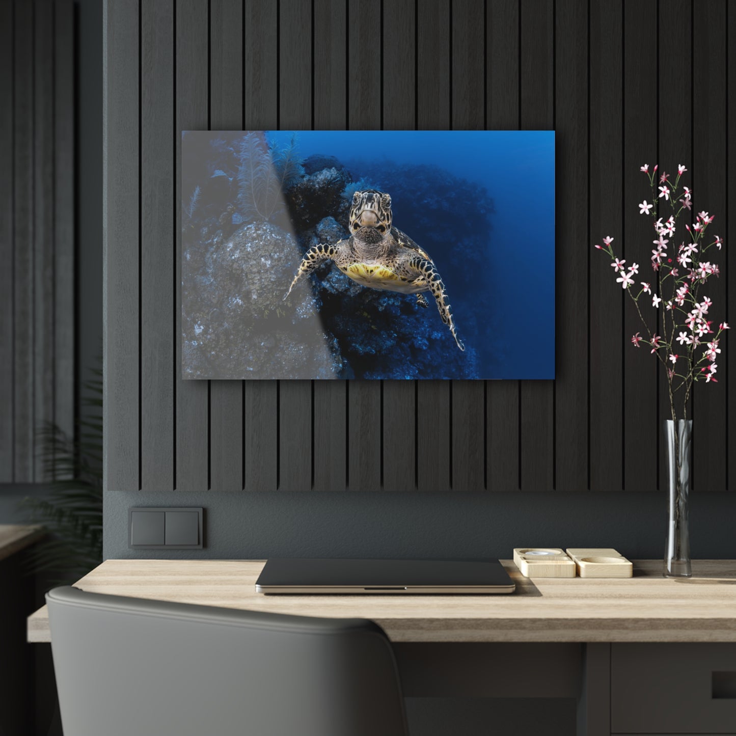 Acrylic Wall Art - Hawksbill Turtle Swims Along The Drop-off - Grand Cayman