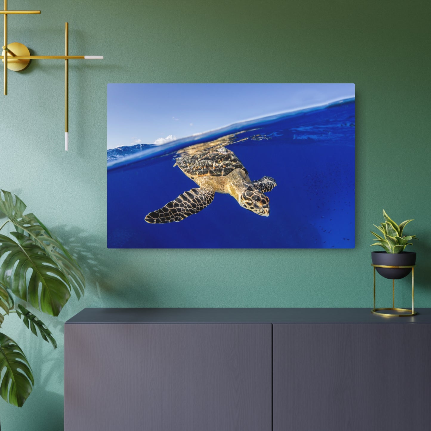 Hawksbill Turtle Dive Grand Cayman - Metal Print