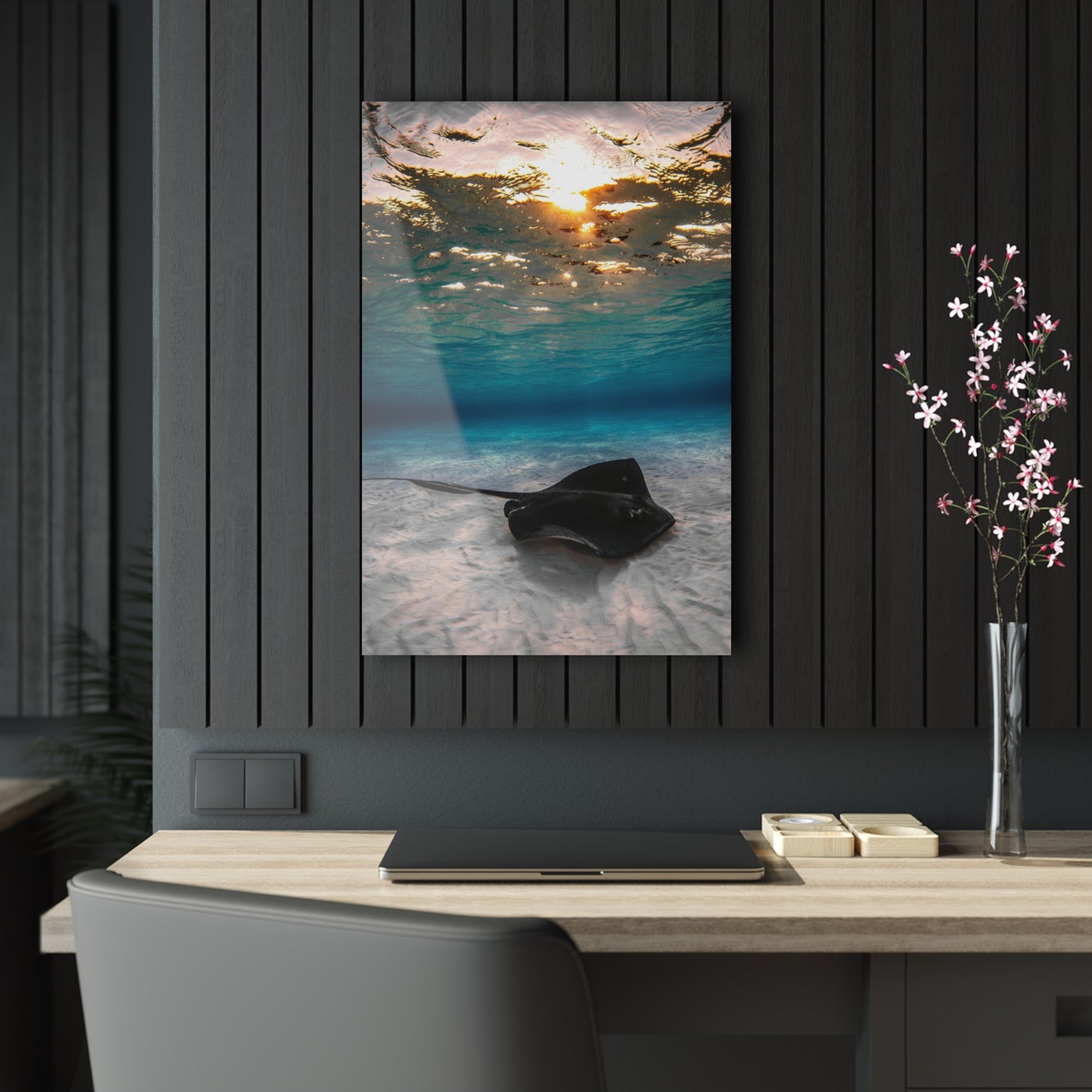 Acrylic Wall Art - A Southern Atlantic Stingray Swimming A Sunrise - Grand Cayman