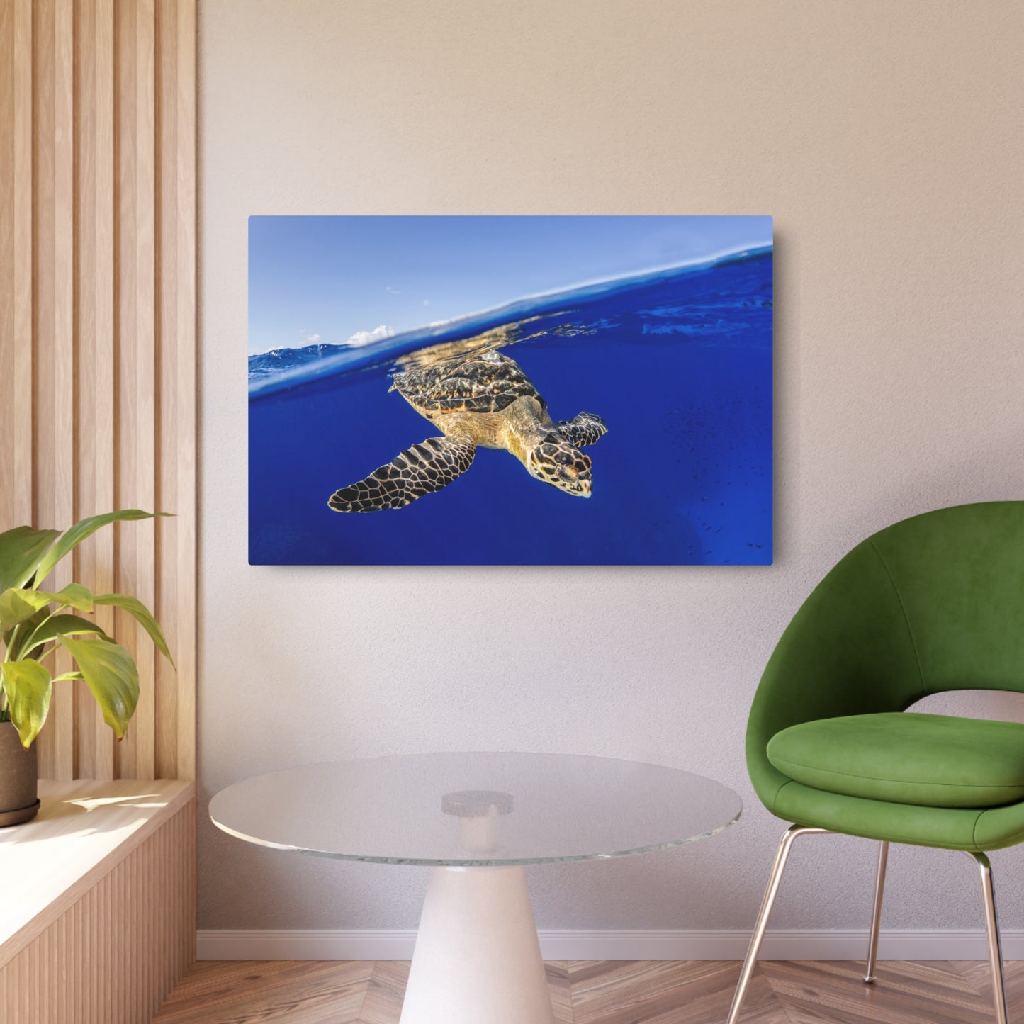 Hawksbill Turtle Dive Grand Cayman - Metal Print