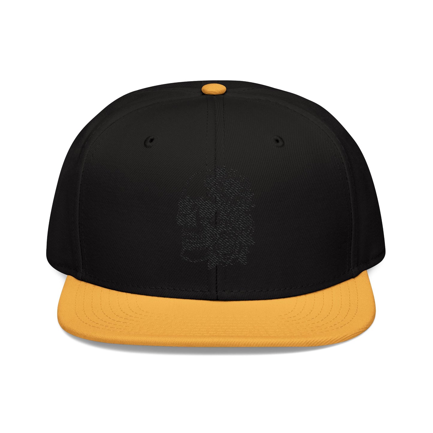 Copy of Snapback Hat