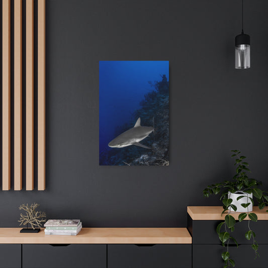 "Grey Day" Metal Print