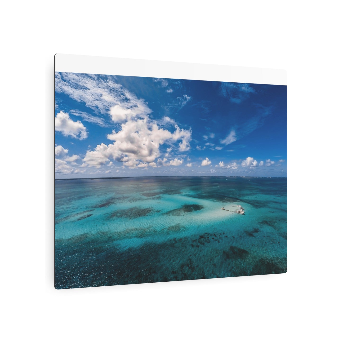 "Crystal Clear" Metal Print