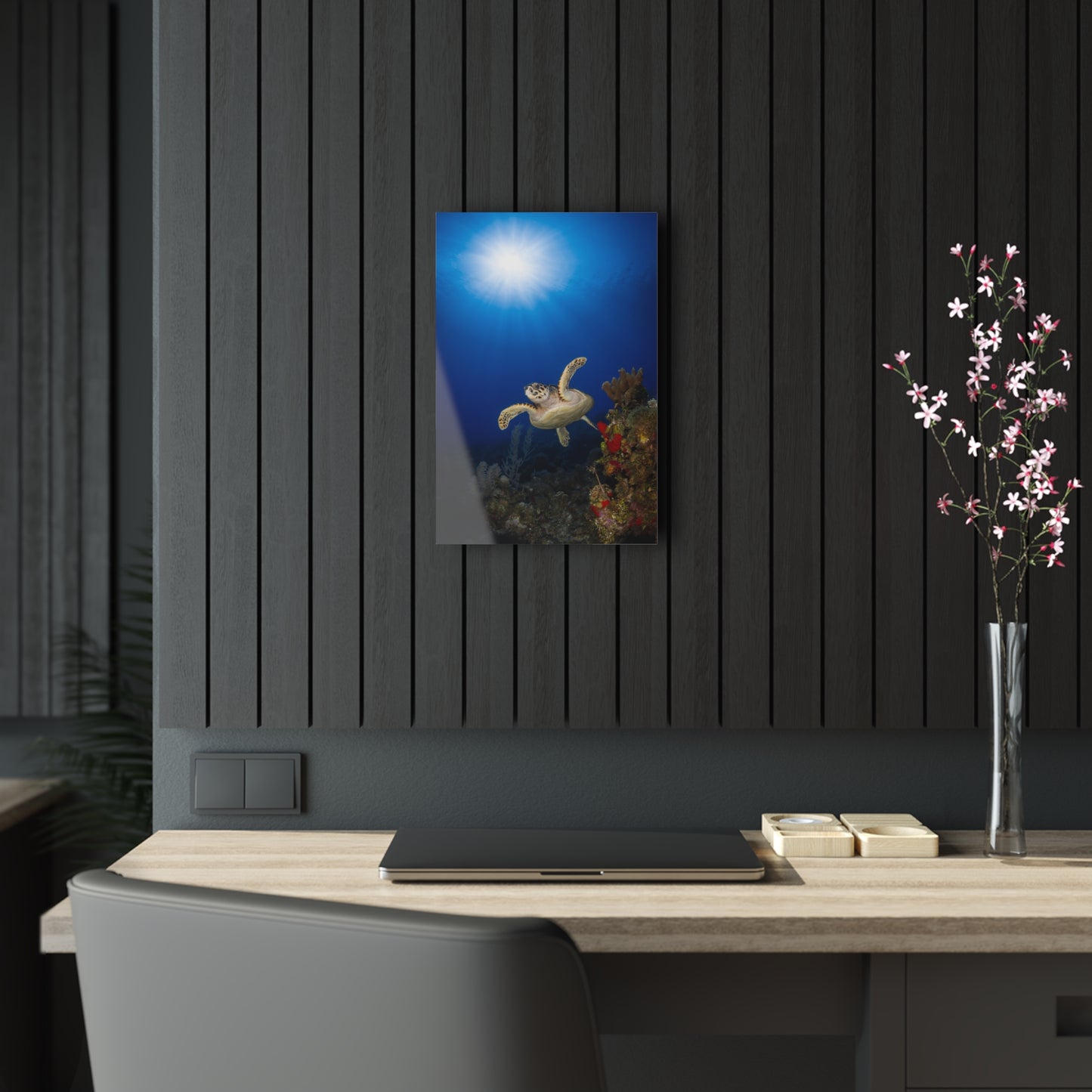 Acrylic Wall Art - Hawksbill Turtle Swims Along The Coral Reef With Ample Sunshine Above - Grand Cayman