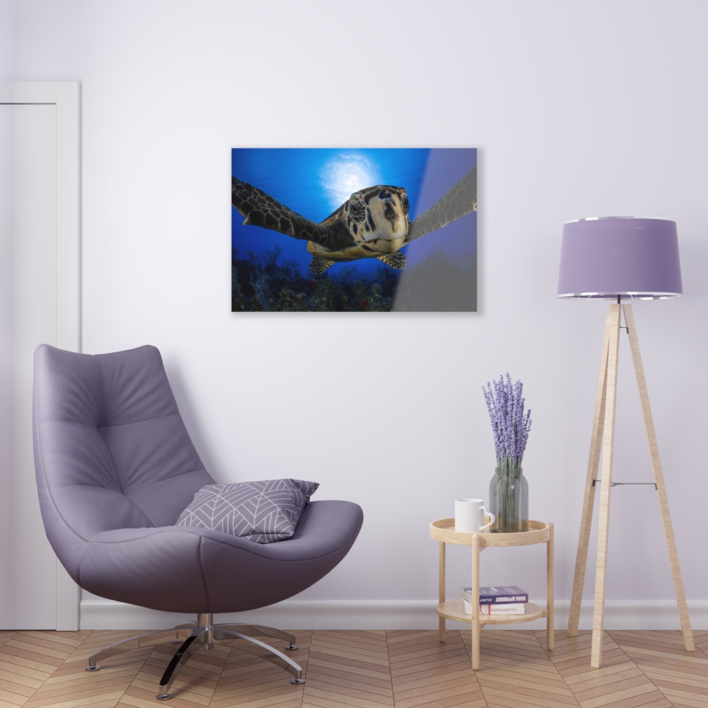 Acrylic Wall Art - Hawksbill Turtle Close Up Grand Cayman