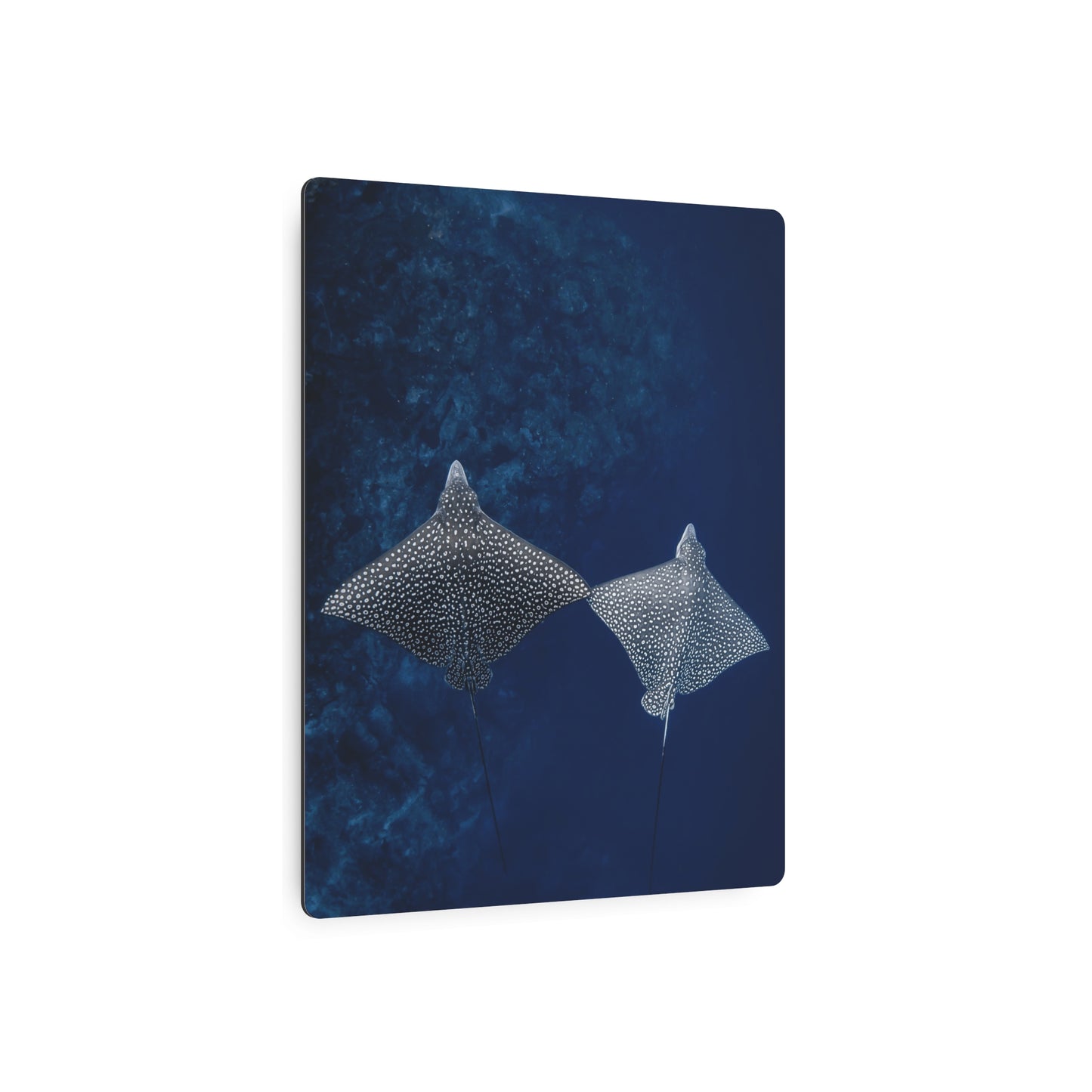 "High-Five" Metal Print