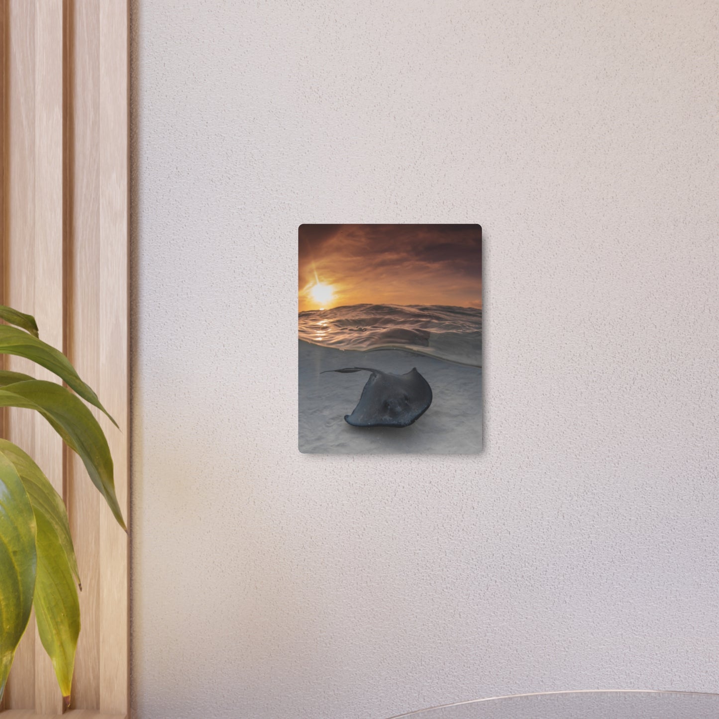 "Stingray Swims" Metal Print