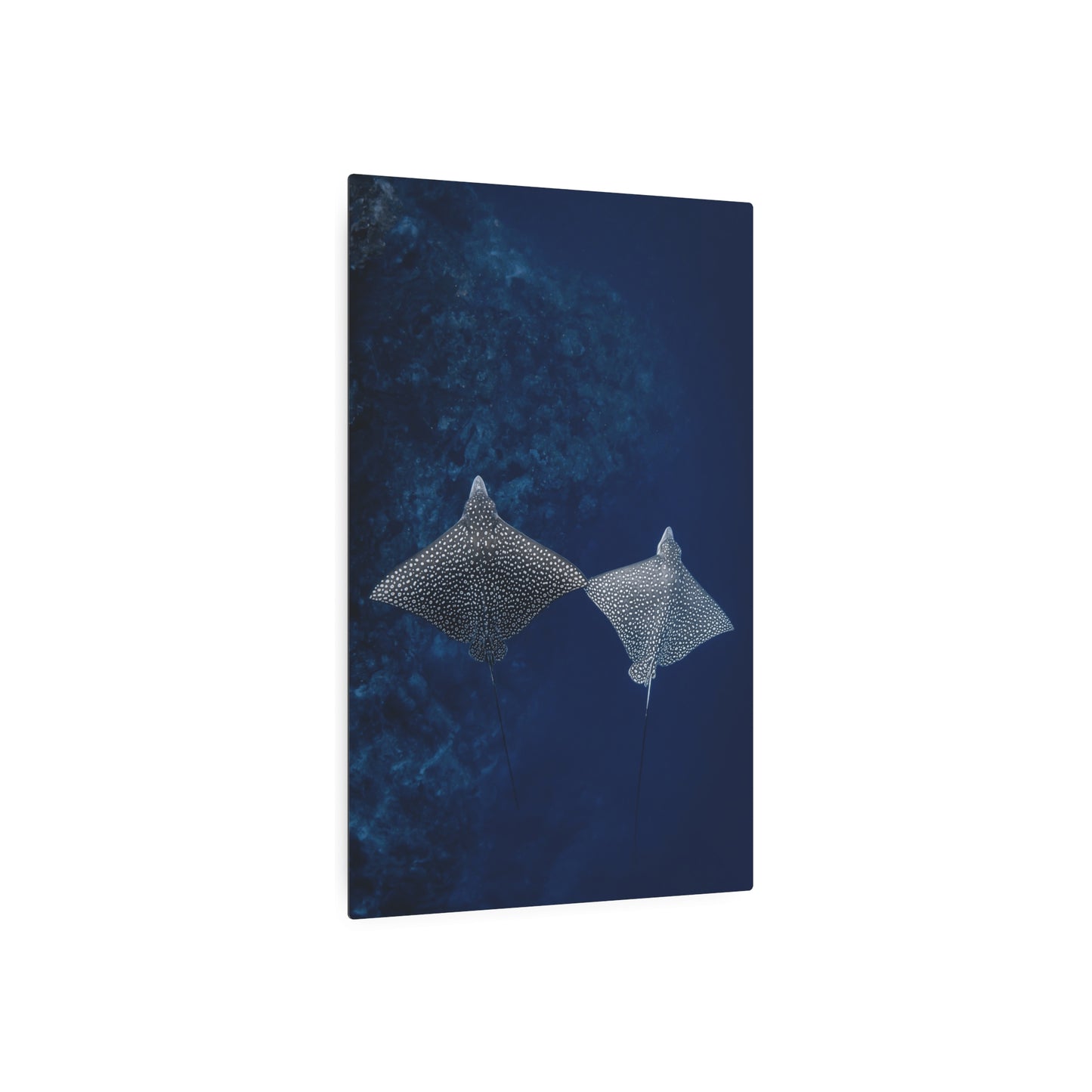 "High-Five" Metal Print