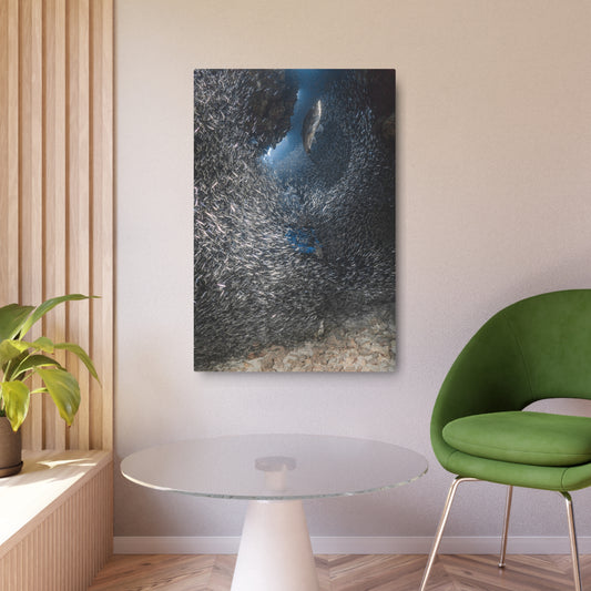 "Feeding" Metal Print