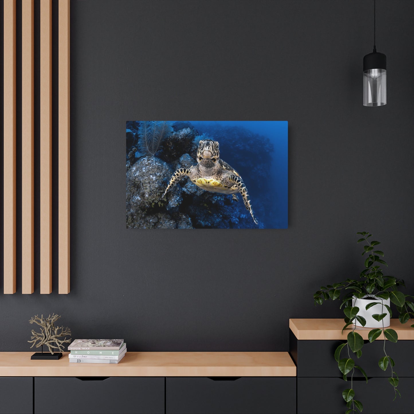 "Turtle Drop-off"  Metal Print