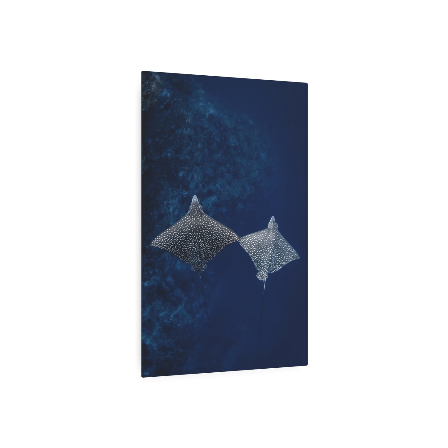 "High-Five" Metal Print