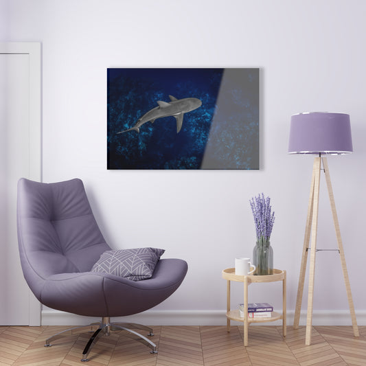 Acrylic Wall Art - Caribbean Reef Shark Cruises The Edge - Grand Cayman