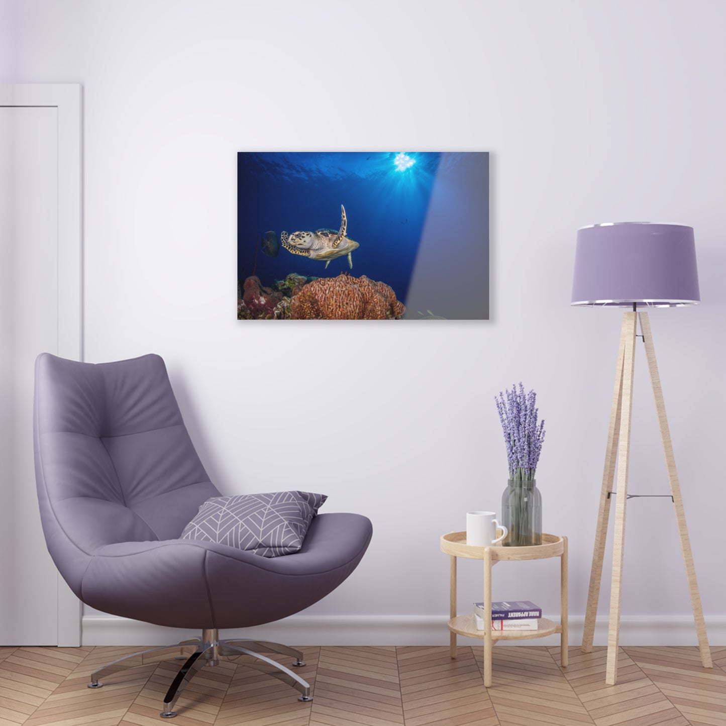 Acrylic Wall Art - Hawksbill Turtle Poses Above The Reef