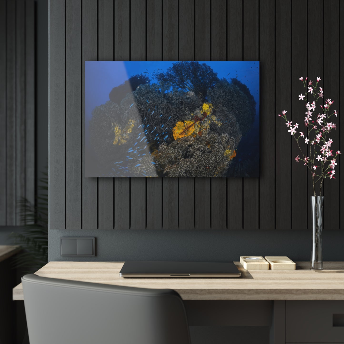 Acrylic Wall Art - Schooling Fish Flow Across a Massive Coral Head