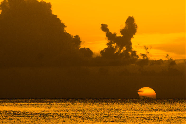 Sunset over water with silhouette of trees
